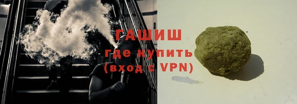 гидра Богородицк