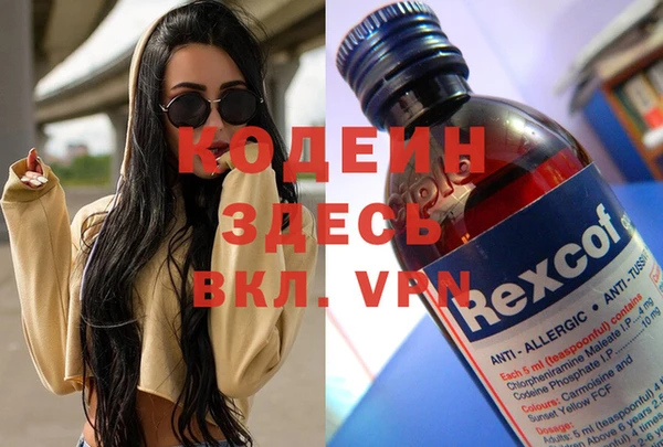 шишки Бородино
