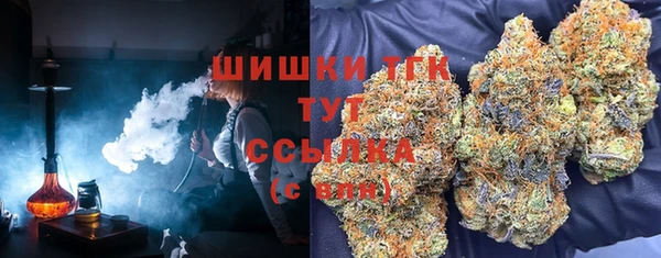 шишки Бородино