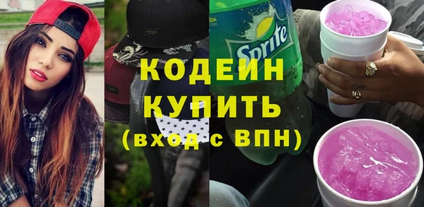 гидра Богородицк