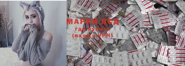 mdpv Богородск