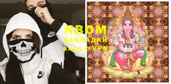 гидра Богородицк