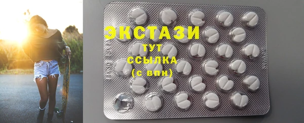 гидра Богородицк