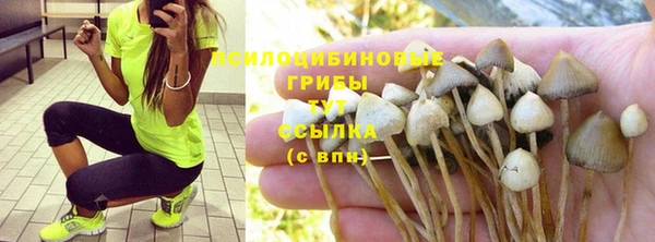 mdpv Богородск