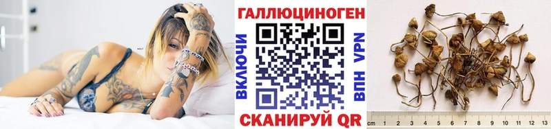 Псилоцибиновые грибы MAGIC MUSHROOMS  сколько стоит  нарко площадка официальный сайт  Кинель 